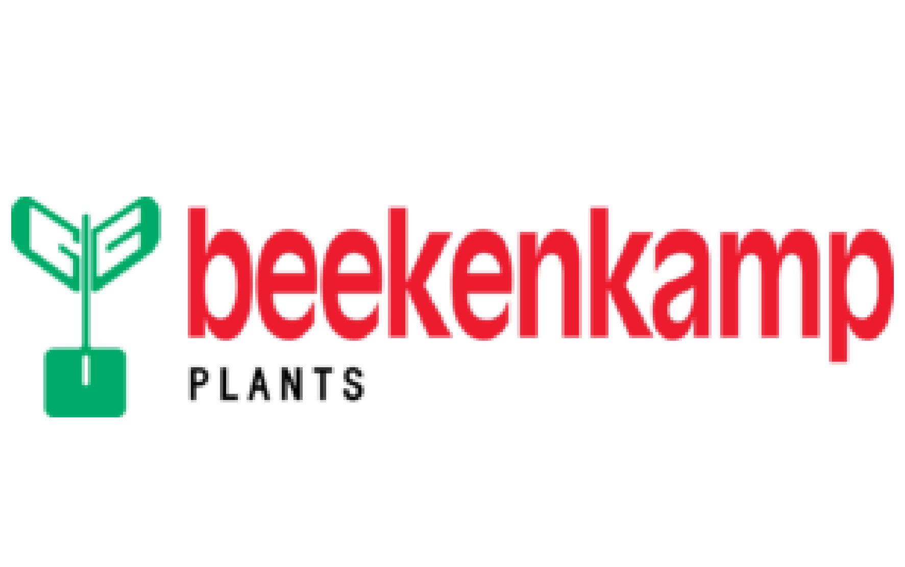 Beekenkamp Plant Ornamentals