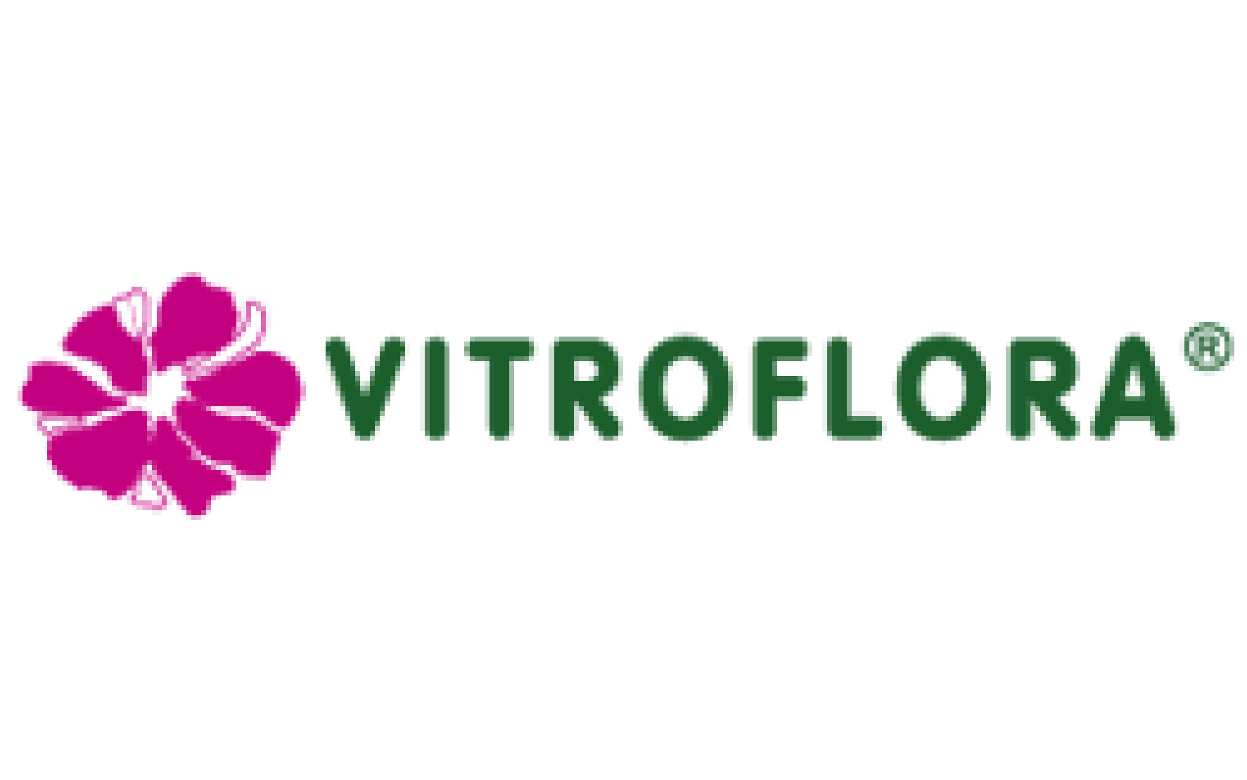 Vitroflora