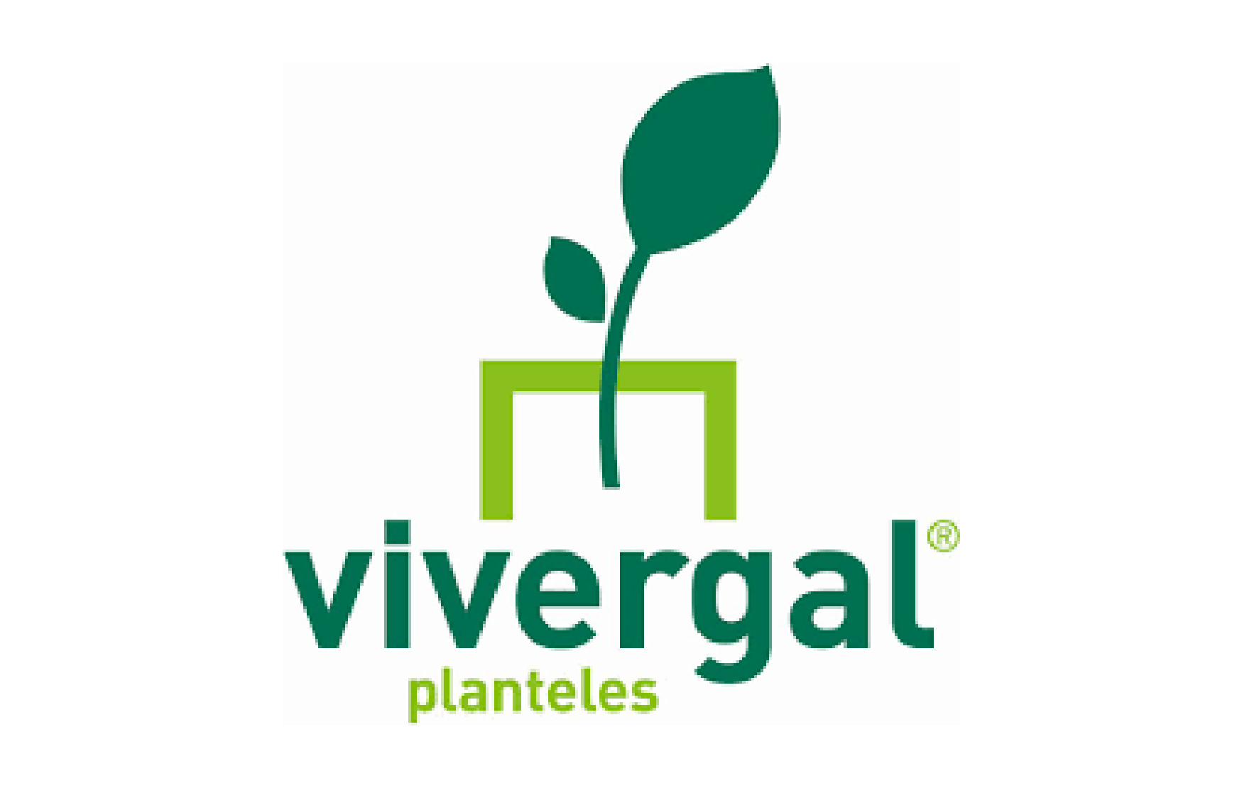 Vivergal Planteles